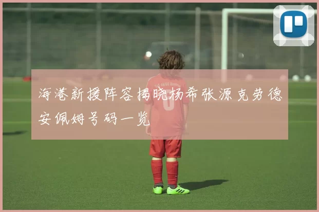 海港新援阵容揭晓杨希张源克劳德安佩姆号码一览