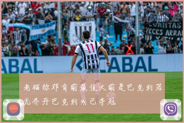 老猫称邓肯前最佳大前是巴克利若无乔丹巴克利或已夺冠